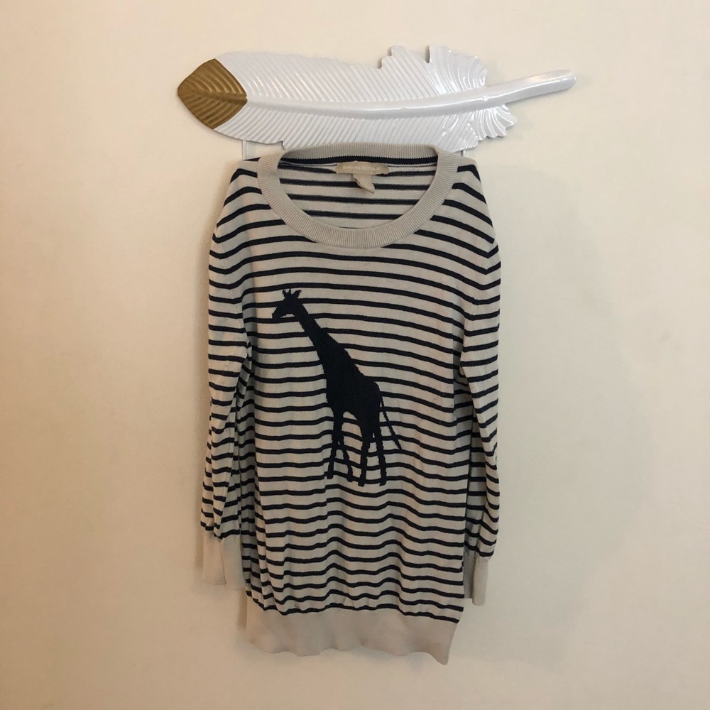 Banana Republic giraffe sweater.
